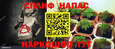 трава Чапаевск