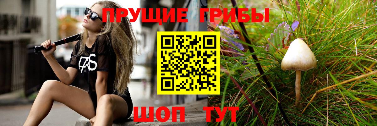 Абакан  Псилоцибиновые грибы прущие грибы  Вход с VPN 