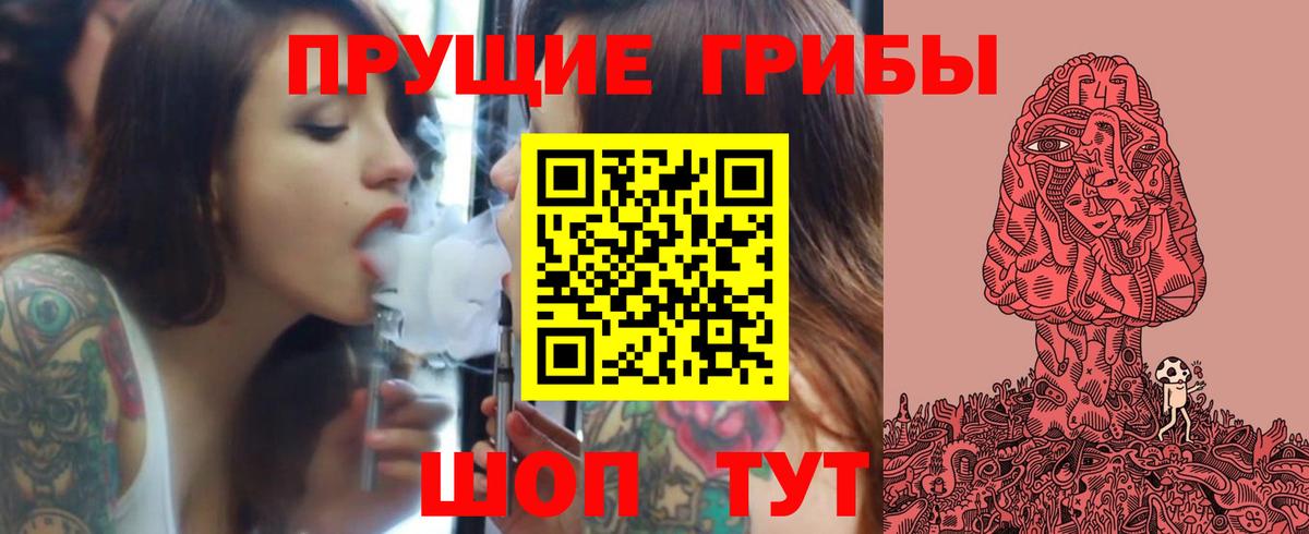 Псилоцибиновые грибы Cubensis Абакан